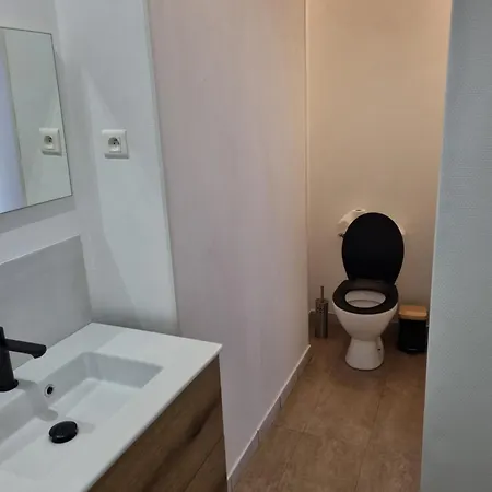 Les Terrasses De La Moine Apartment Cholet