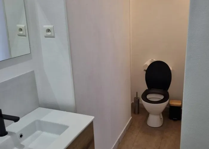 Les Terrasses De La Moine Lägenhet Cholet